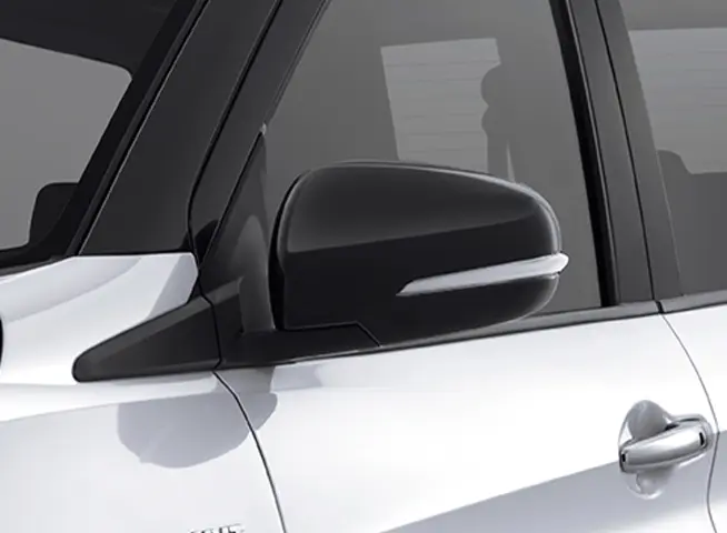 Electric and Auto Foldable Mirror with Turn Signal Lamp (Cruise, Gx)