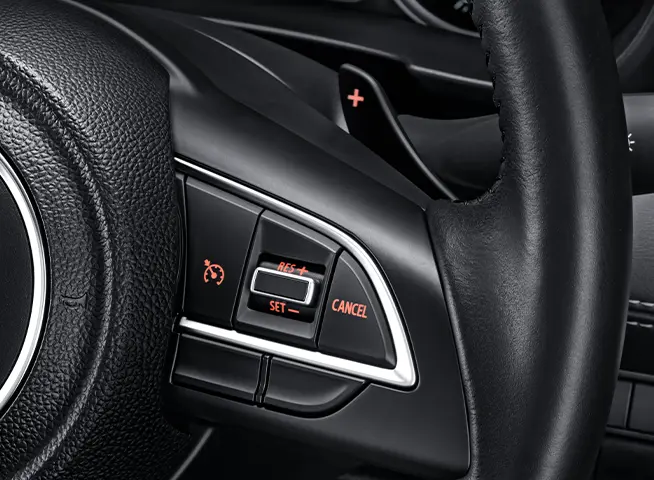Paddle Shift + Cruise Control